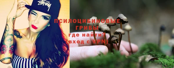 гашик Белоозёрский