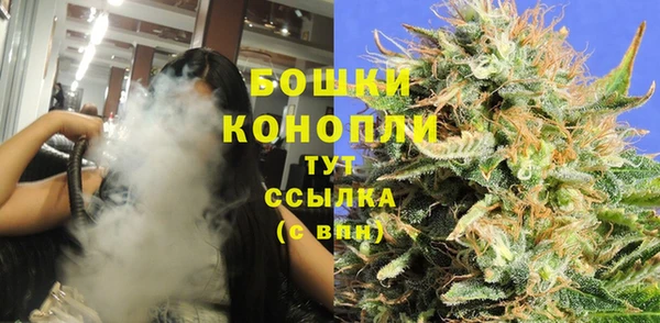 гашик Белоозёрский