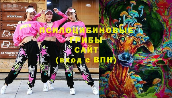 гашик Белоозёрский