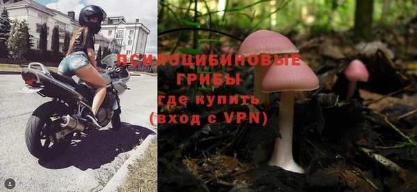 гашик Белоозёрский